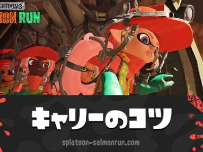 【サーモンラン】キャリーできない時のコツとやり方【スプラトゥーン3】